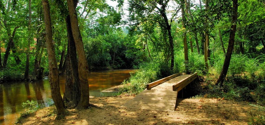 Autauga Creek / Autauga Creek near Prattville, Alabama