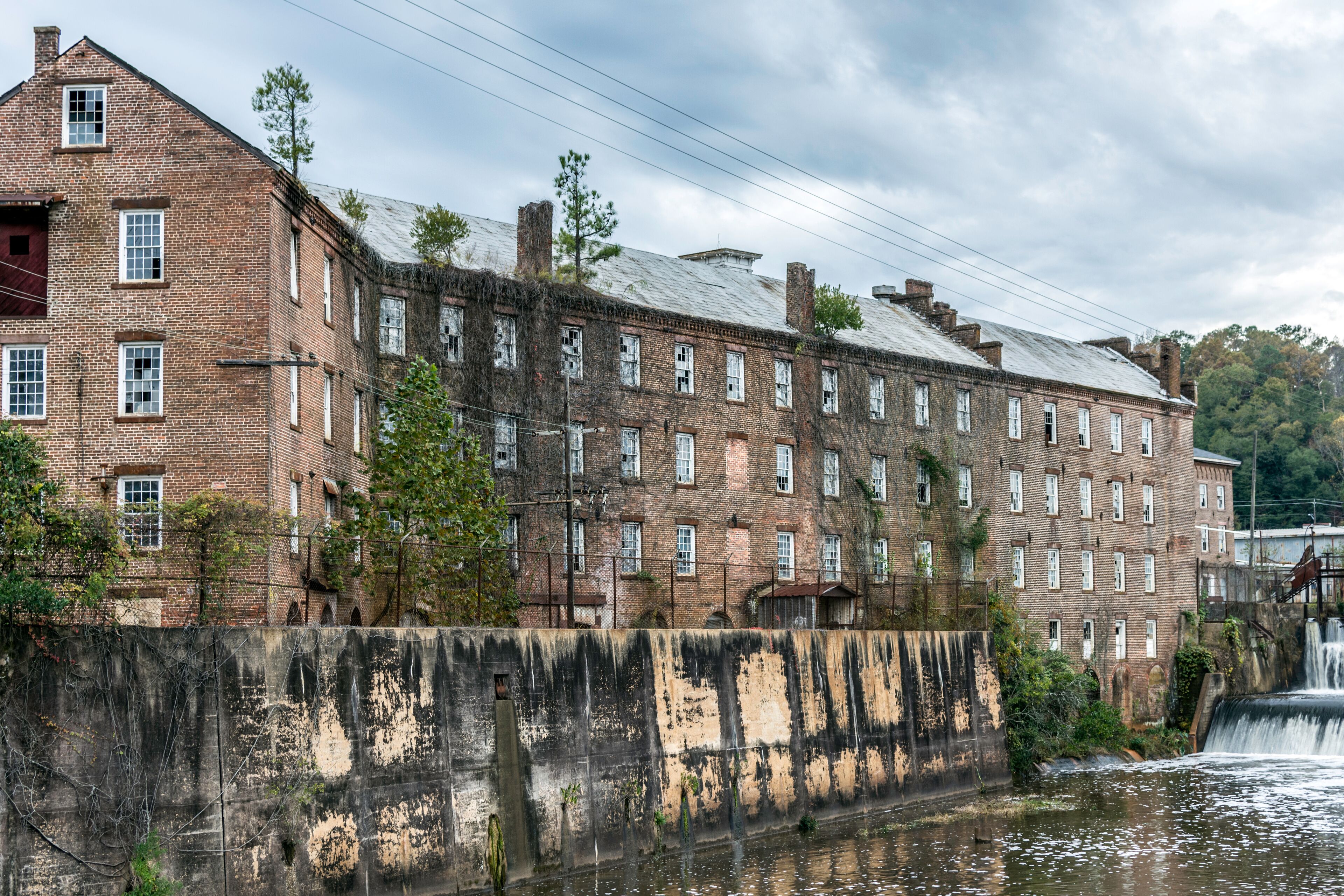 Continental Eagle Cotton Gin