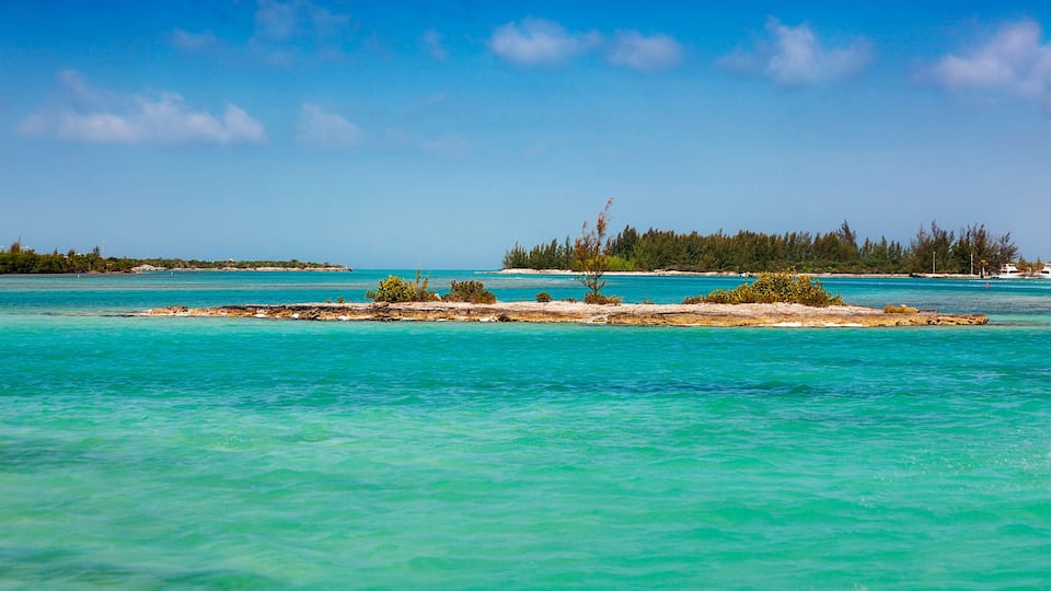 Turquoise waters, a sandy beach, and a forested island.