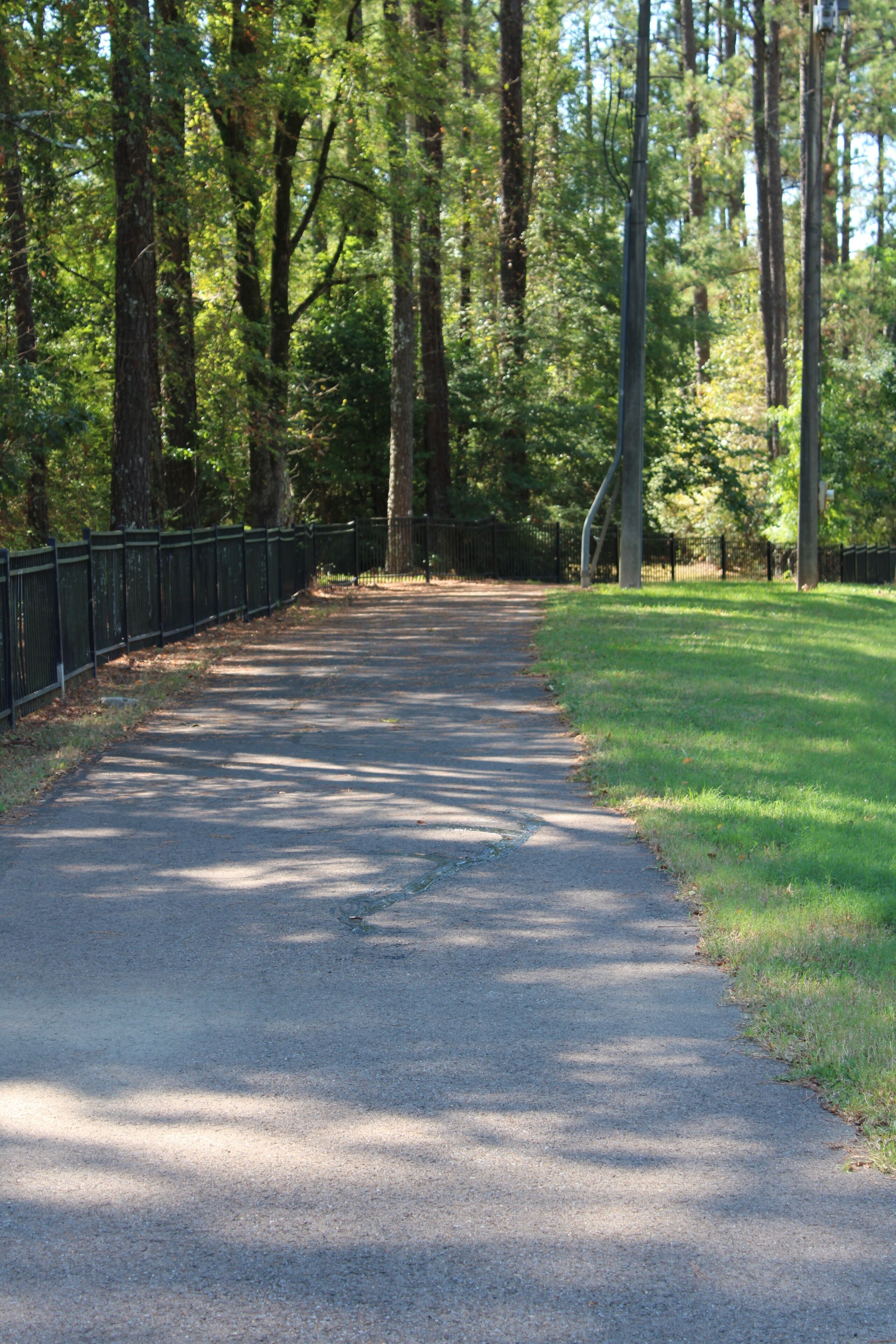 Walking and jogging path lined with trees located in jackson mississippi