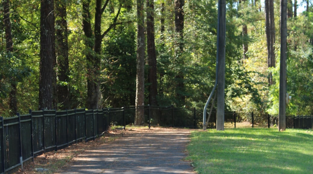 Walking and jogging path lined with trees located in jackson mississippi