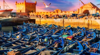 Fishing port of Essaouira at the sunset time, Morocco
