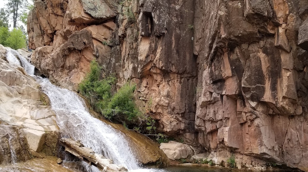 Payson