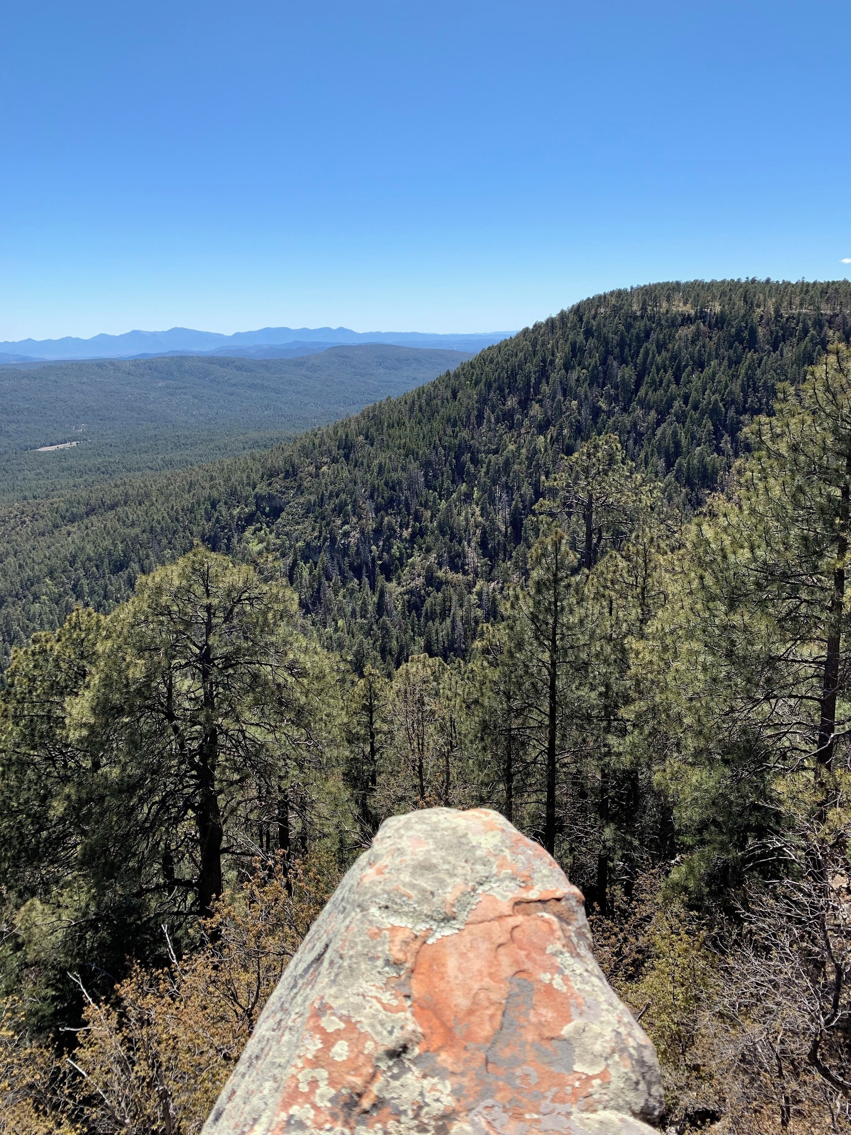 Enjoy the little things in life, for one day you may look back and realize they were the big things.