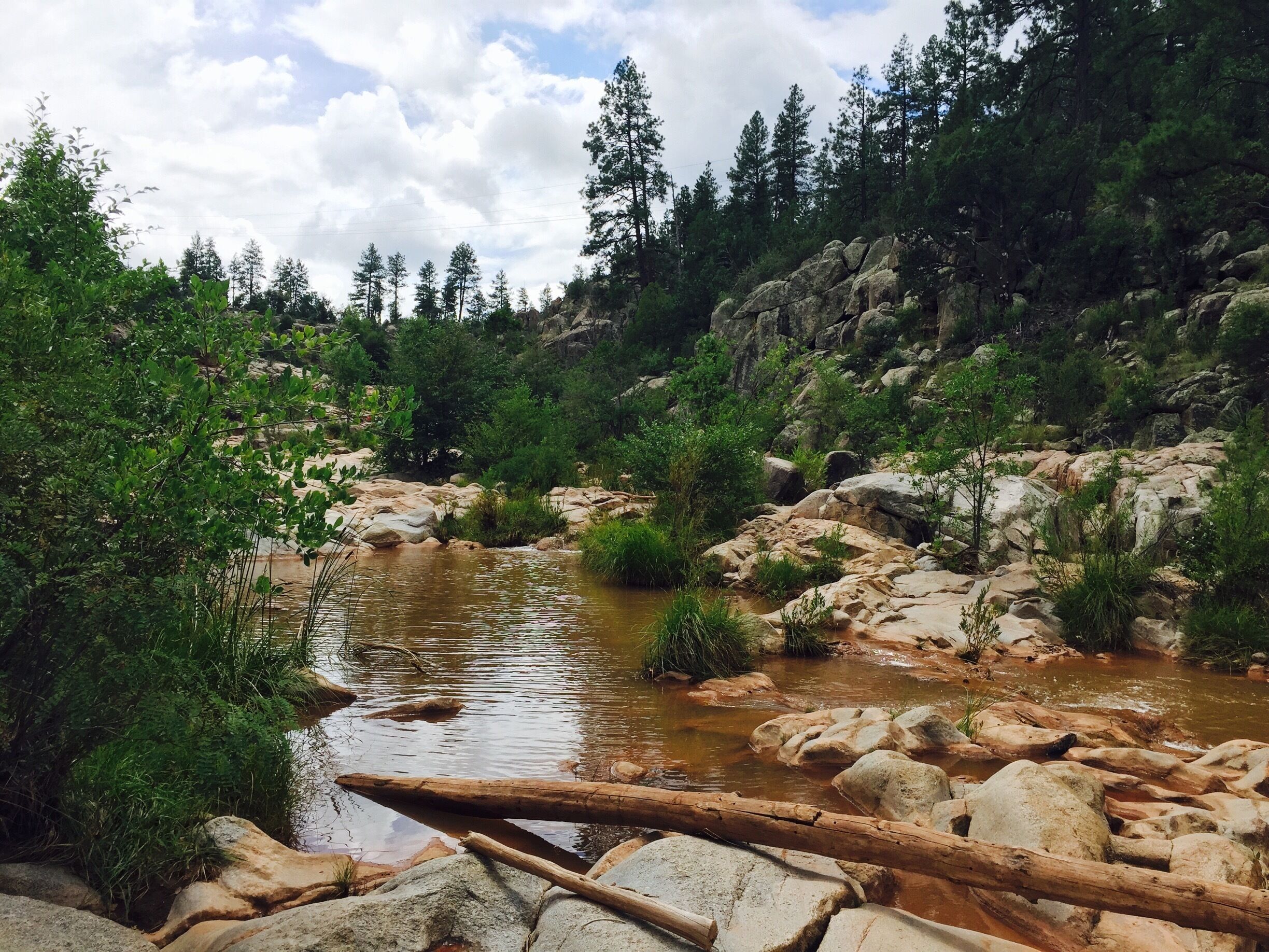 Ellison Creek - one of the best swimming holes in Payson, AZ. The kids enjoyed dipping and swimming in this place...magnificent view too...