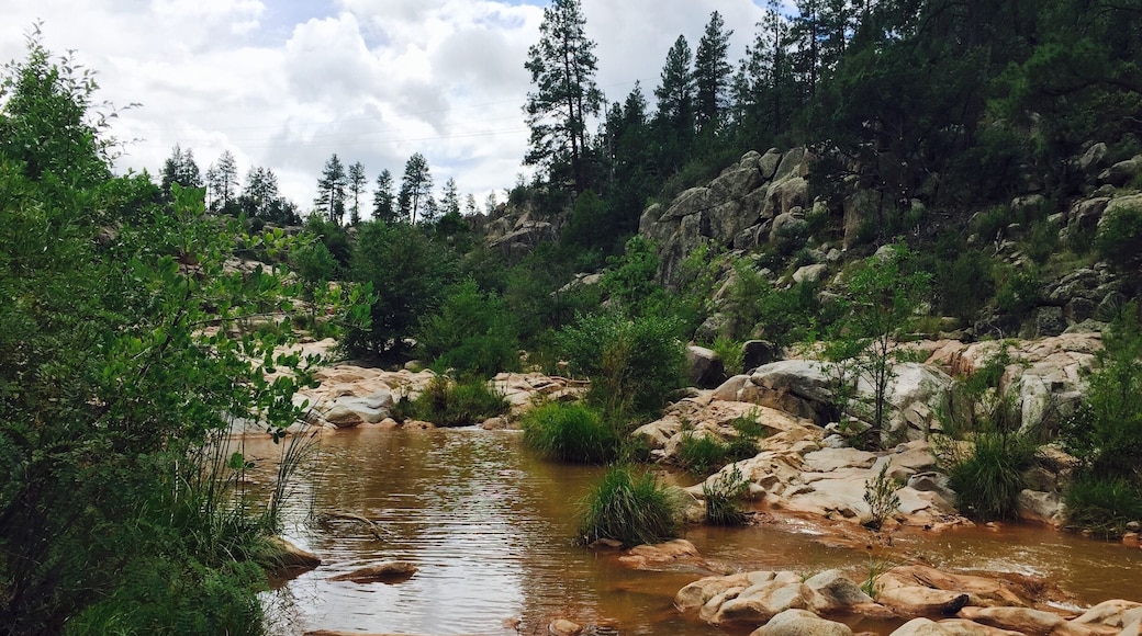 Ellison Creek - one of the best swimming holes in Payson, AZ. The kids enjoyed dipping and swimming in this place...magnificent view too...