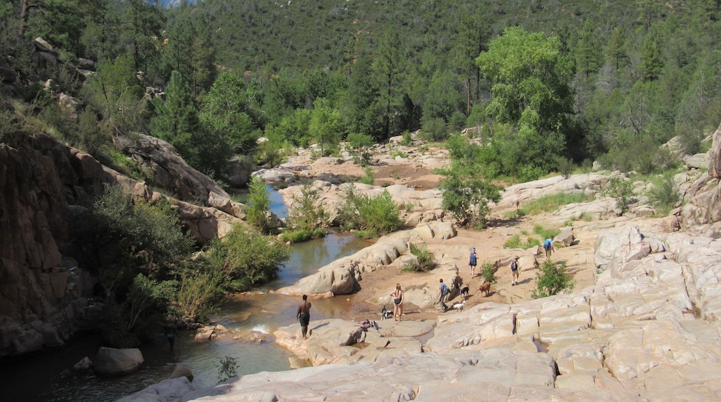 Payson