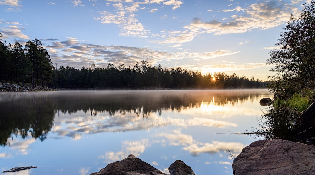 A calm lake with a reflection of trees and sky, surrounded by rocks and a forest.