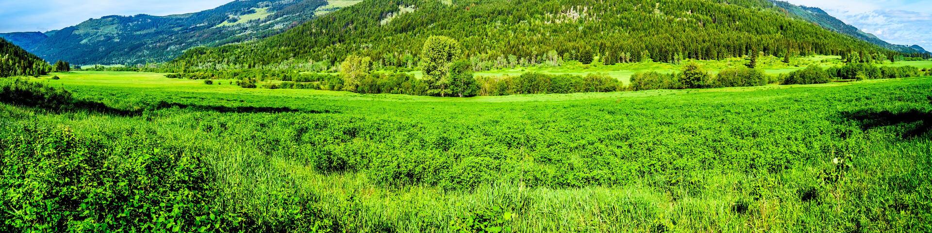Lush Grasslands along Highway 5A, the Kamloops-Princeton Highway, between the towns of Merritt and Princeton in British Columbia, Canada