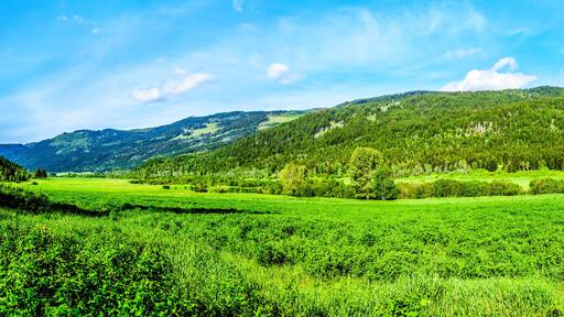 Lush Grasslands along Highway 5A, the Kamloops-Princeton Highway, between the towns of Merritt and Princeton in British Columbia, Canada