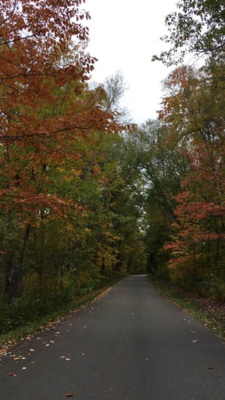 Love the colors of fall.