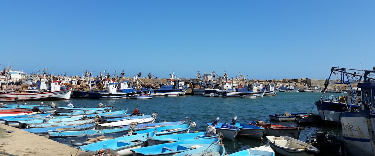 A harbor with numerous small boats docked along the shore.