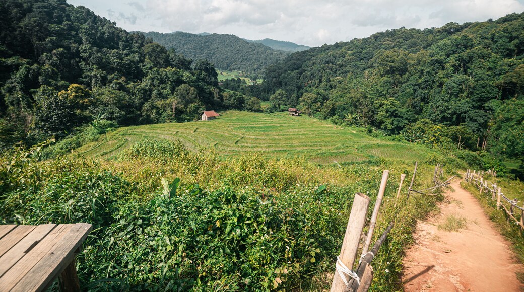 Sentier Naturel de Pha Dok Siew