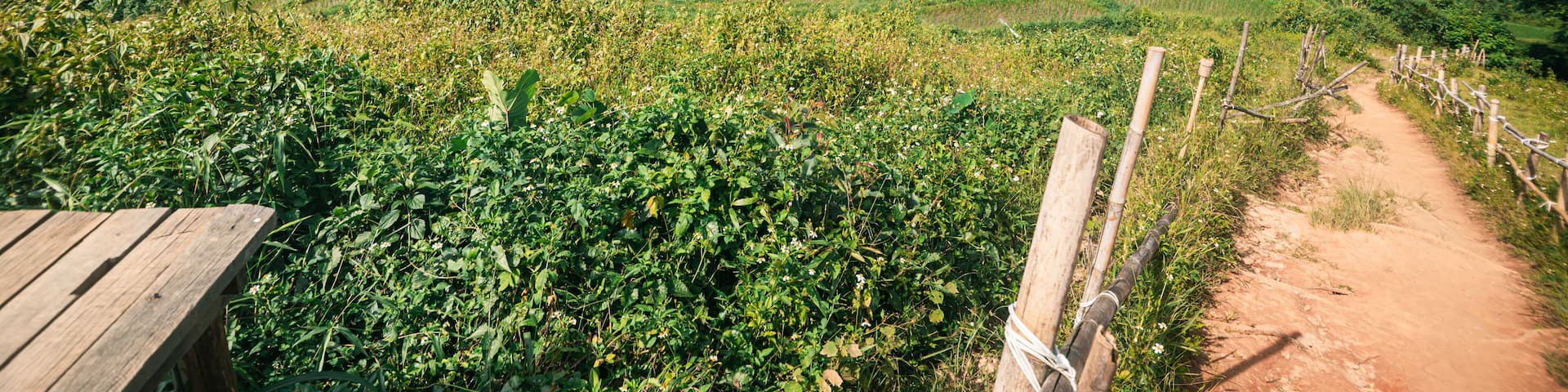 Scenic View of Pha Dok Siew Waterfall Area in Chiang Mai