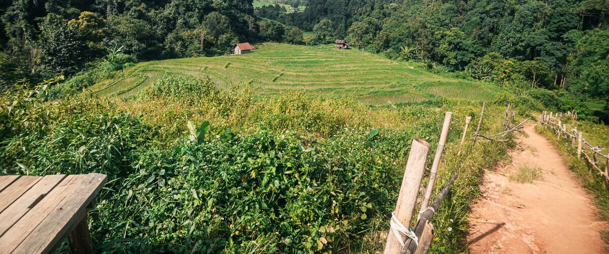 A terraced rice field in a hilly landscape with a wooden fence and a small building in the distance.