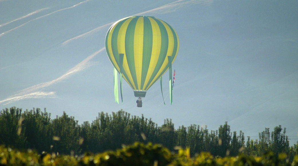 Hot Air Balloons, Prosser, Washington State, USA