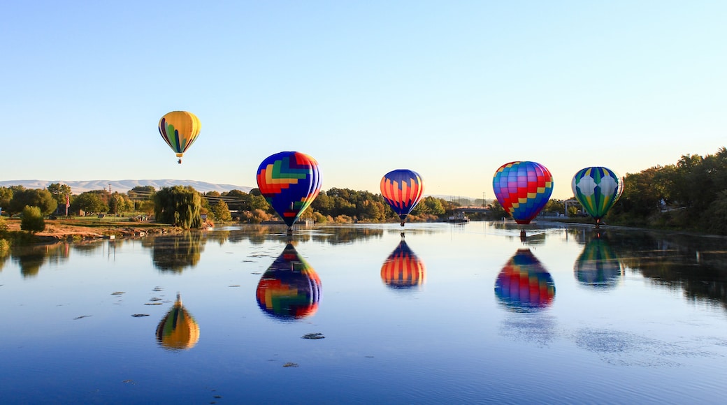 Dawn ascent of vibrant balloons over water