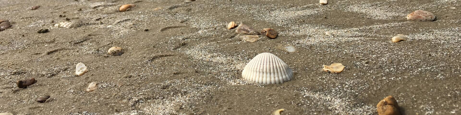 This beach is a fun place to find shells washed up on the beach.
#LifeAtExpedia