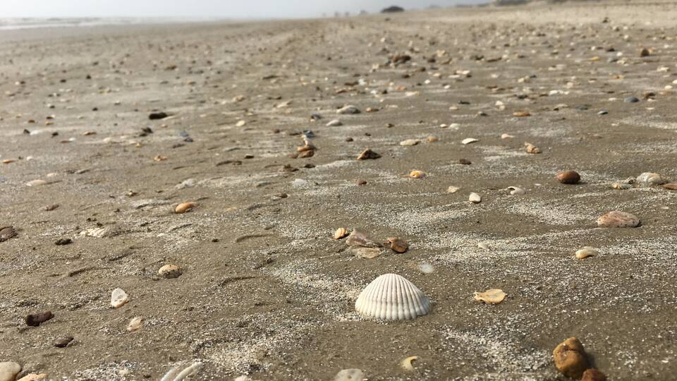 This beach is a fun place to find shells washed up on the beach.
#LifeAtExpedia