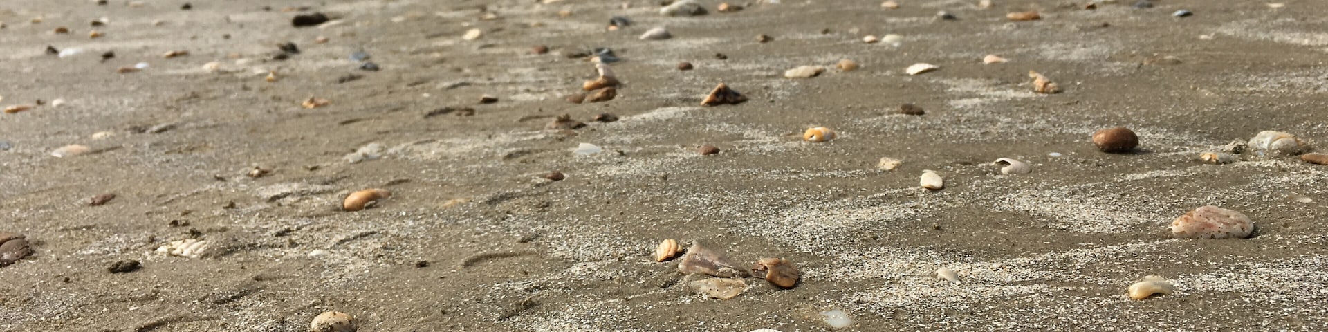 This beach is a fun place to find shells washed up on the beach.
#LifeAtExpedia