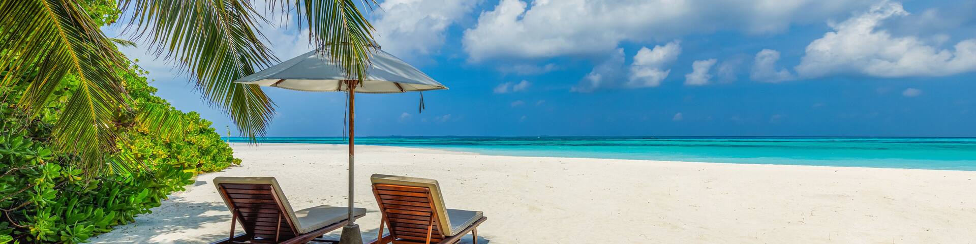 Beautiful tropical beach banner. White sand and coco palms travel tourism wide panorama background concept. Amazing beach landscape. Boost up color process. Luxury island resort vacation or holiday