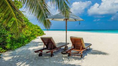 Beautiful tropical beach banner. White sand and coco palms travel tourism wide panorama background concept. Amazing beach landscape. Boost up color process. Luxury island resort vacation or holiday