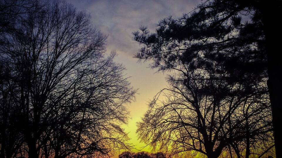 A sunset over a lake with silhouetted trees.