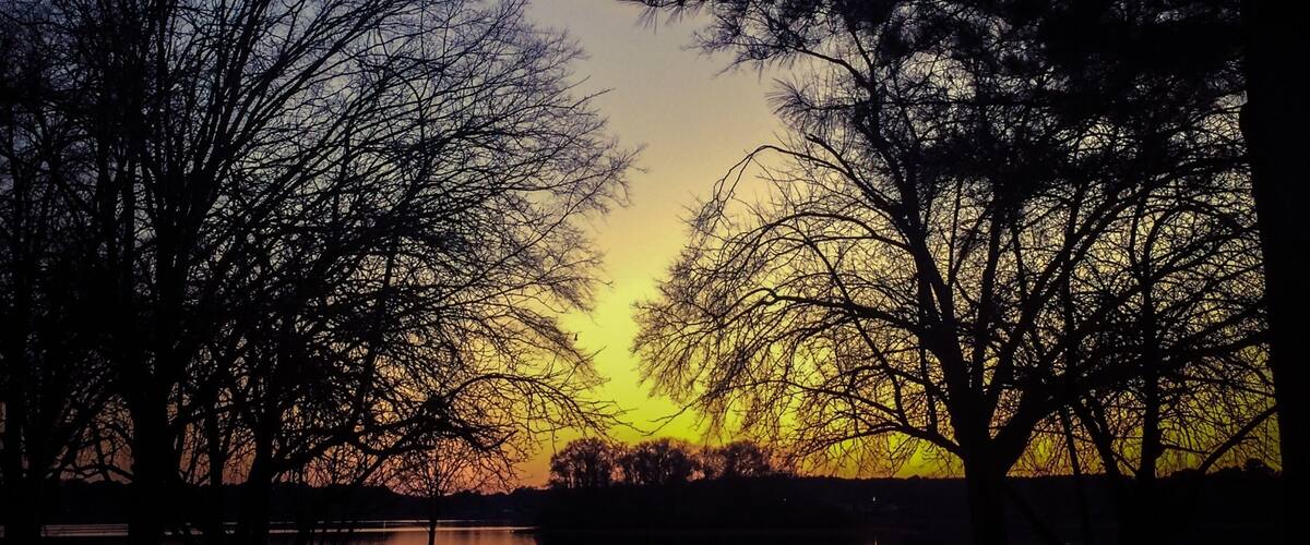 A sunset over a lake with silhouetted trees.