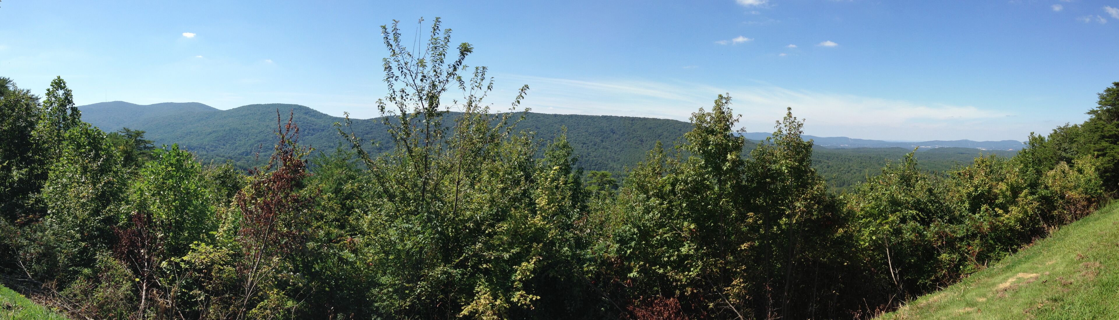A mountainous landscape with dense forest and a clear sky.