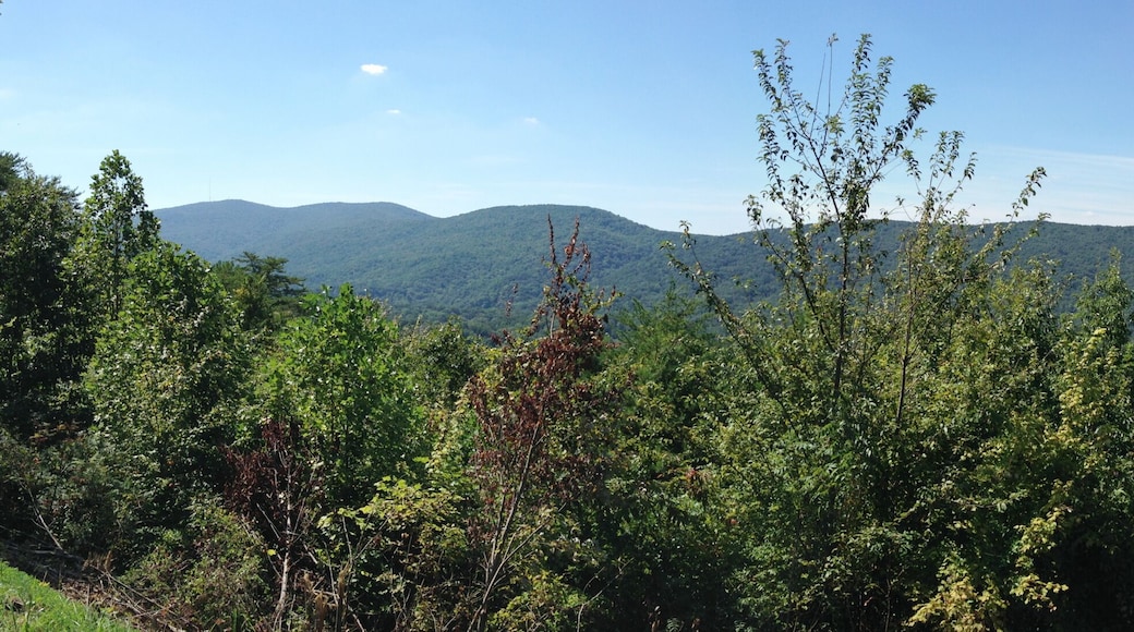Un paysage montagneux avec une forĂȘt dense et un ciel dĂ©gagĂ©.