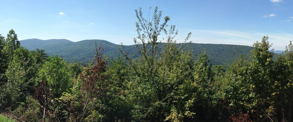 A mountainous landscape with dense forest and a clear sky.