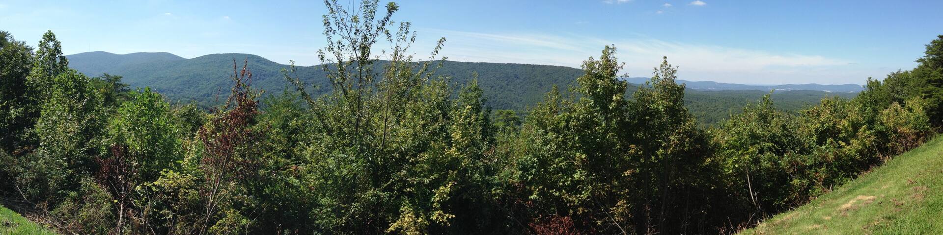A mountainous landscape with dense forest and a clear sky.