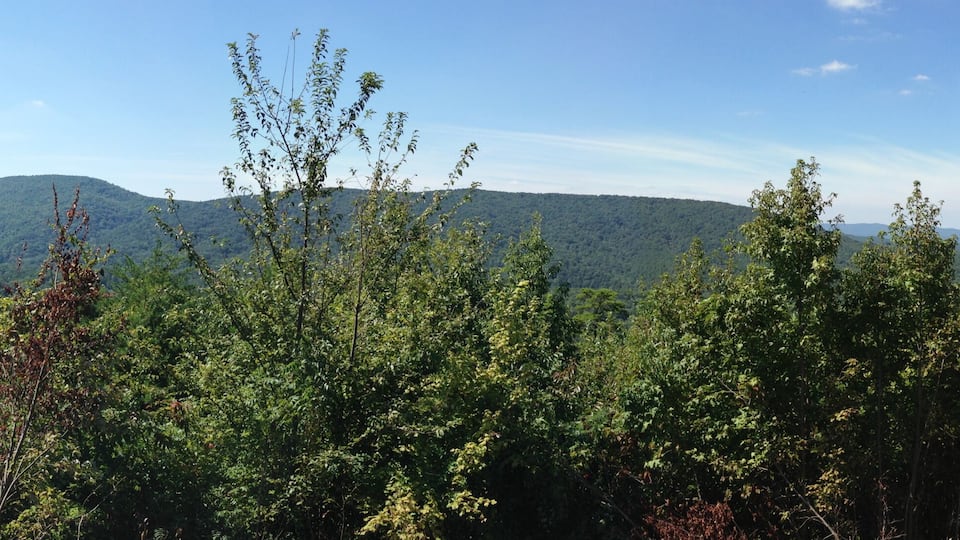 A mountainous landscape with dense forest and a clear sky.