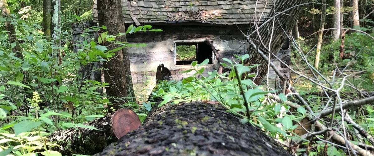 Great hiking in California Park, OH