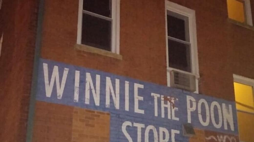 Winnie the Poon, Winnie the Poon, tubby little cubby all stuffed with fluff.... no idea what this store peddles since it was closed but noteworthy nonetheless!