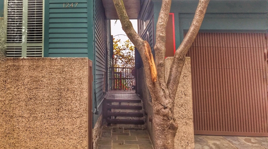 Walking around the Eden Park streets I came upon this connected house and wanted to share the look