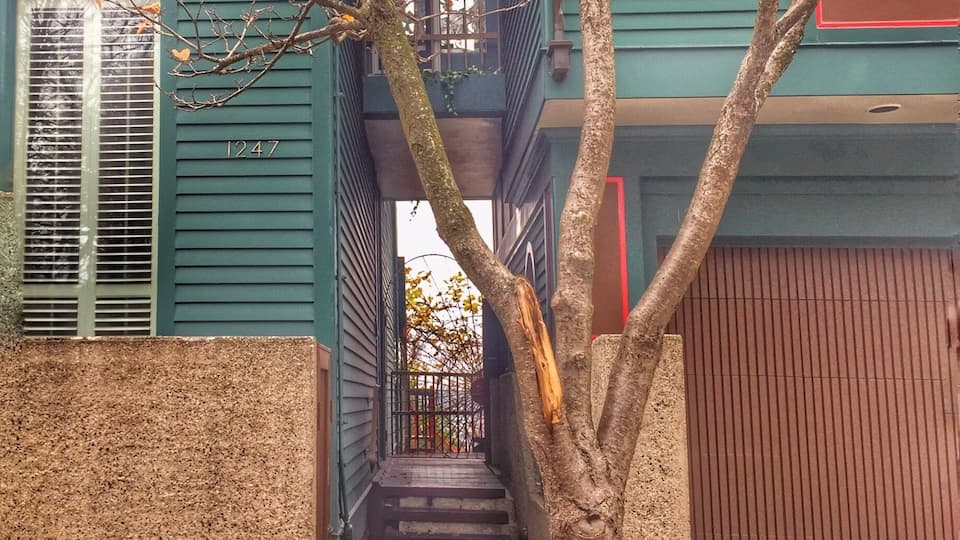 Walking around the Eden Park streets I came upon this connected house and wanted to share the look