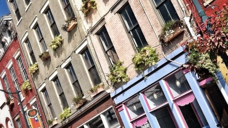 Window boxes