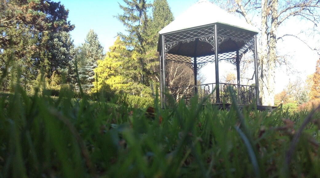 The cool gazebo is the perfect place when you are at Mt. Airy to reenact the Sound of Music. ;)
