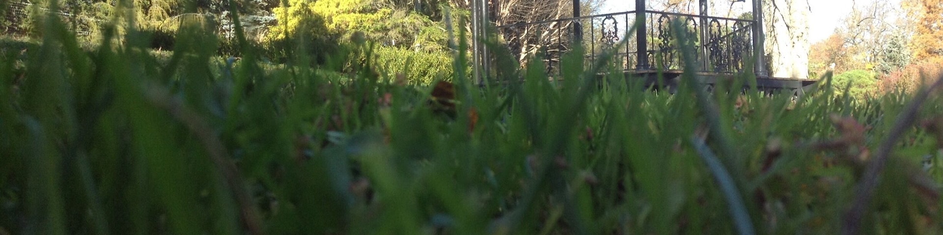 The cool gazebo is the perfect place when you are at Mt. Airy to reenact the Sound of Music. ;)