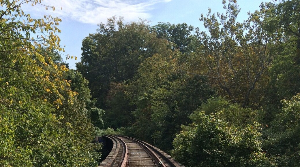 Hiking at Ault Park in Cincinnati