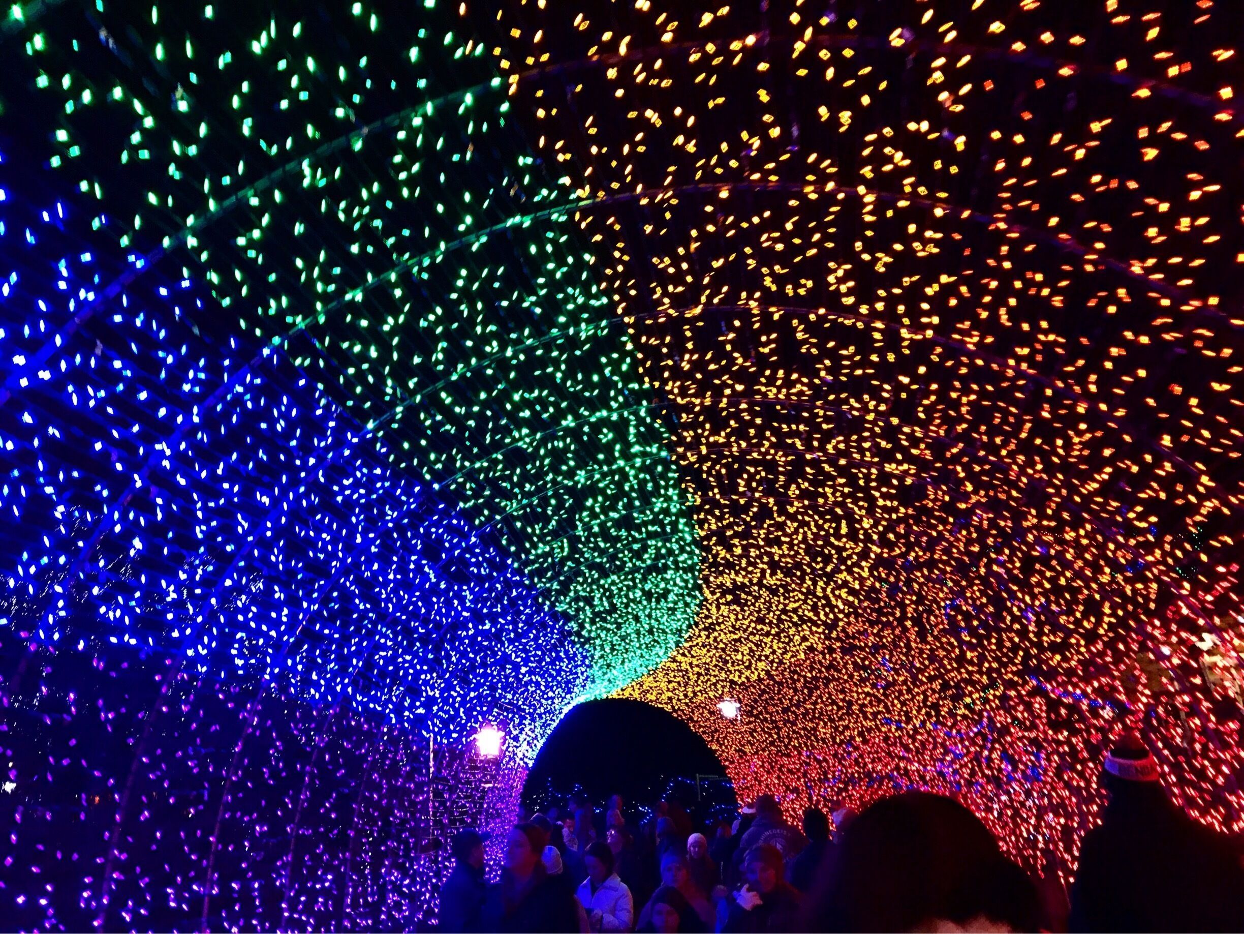 Honestly haven't been out taking many pictures lately, but this one is from a few weeks ago at zoo lights! 