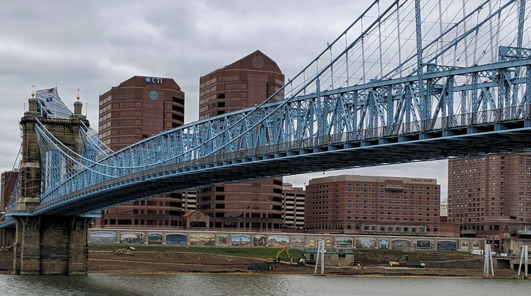 View of some murals across the Ohio River under a very cool bridge! #localsecrets #ohio