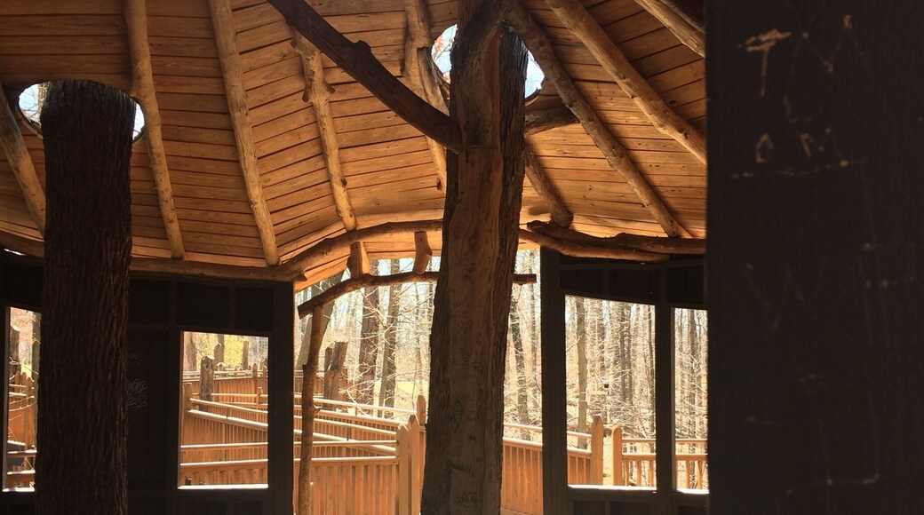 This treehouse is in the middle of Mt. Airy Forest and perfect for all ages! Escape into the trees right outside the city.