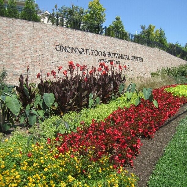 Un muro de ladrillo con el texto "Cincinnati Zoo & Botanical Garden" y una variedad de flores coloridas en primer plano.