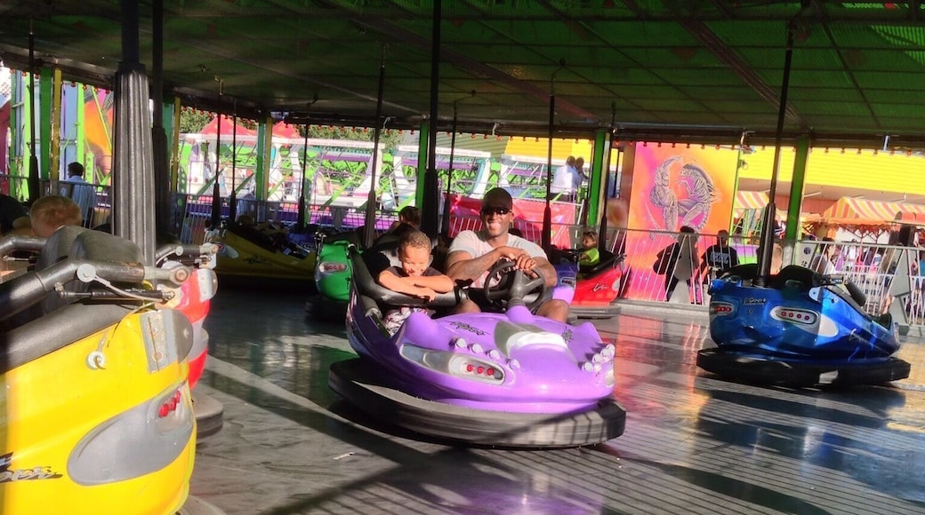Gotta love bumper cars