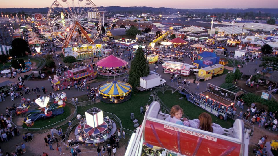 A bustling fairground with a Ferris wheel, various rides, and a roller coaster.