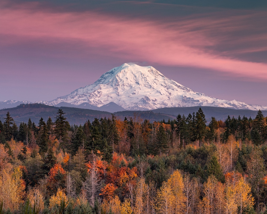 Even after living in this area for 20 years, I still get excited when "the mountain is out". Standing at over 14,000 feet, Mount Rainier creates her own weather, which can change quickly and can be drastically different than the surrounding area. I have learned to venture out to find new perspectives that I have not seen before or on the path less traveled. When I saw that it would be clear this past week for sunset, I grabbed my camera and shot for a general location until I found this spot. I was not expecting the autumn leaves, so I ended up with an image better than anticipated.
#mybackyard
#mountrainier
#washingtonstate
#exploremore
#puyallup