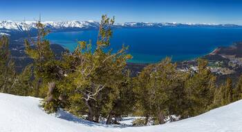Lake Tahoe Panoramic Overlook in Winter from Heavenly