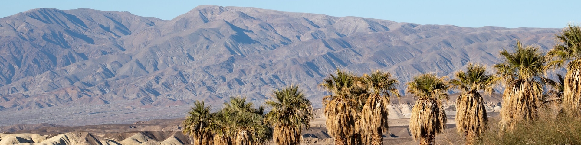 Palm tree oasis in the death valley desert landscape at dusk